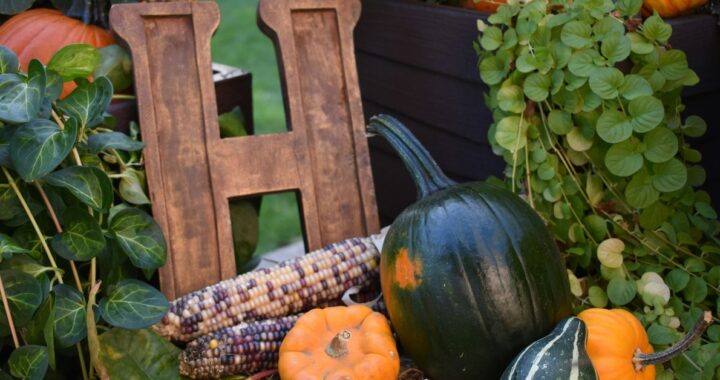 Butternut Squash Soup Recipes Sweet and Savory