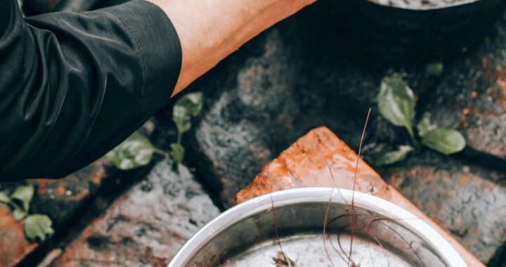 Cooking with Seasonal Ingredients Fresh and Flavorful