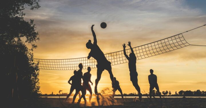 Economic Impact of Professional Sports