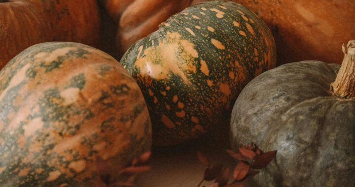 Fall Vegetable Recipes Autumn’s Bounty
