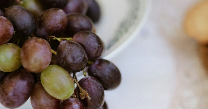 Wine Pairing Guide Matching Wine with Food Like a Pro