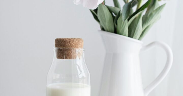 Dairy-Free Delights Recipes for Every Meal